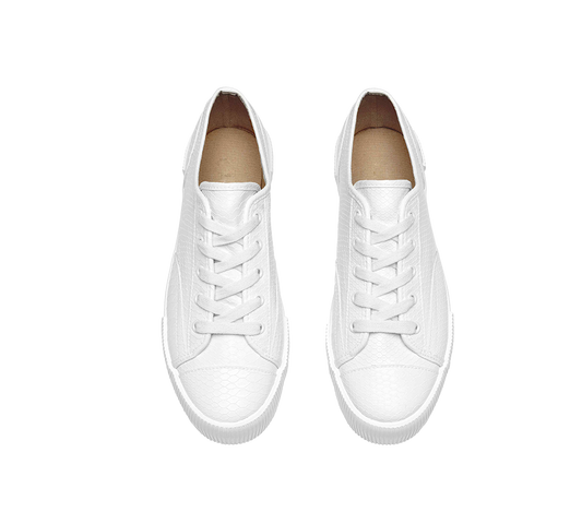 Canvas Shoe